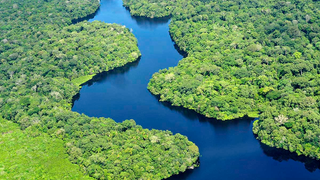 Noruega amenaza a Brasil con retirarle su apoyo financiero si continúa la deforestación del Amazonas